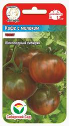 Томат Кофе с молоком (Сибирский Сад)