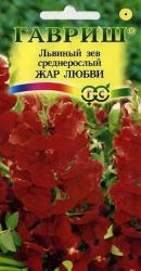 Львиный зев Жар любви (Гавриш)
