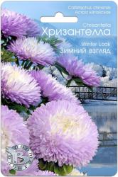Астра Хризантелла зимний взгляд (Биотехника)