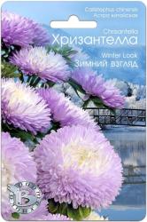Астра Хризантелла зимний взгляд (Биотехника)