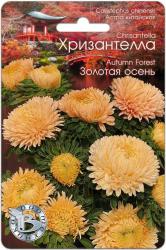 Астра Хризантелла золотая осень (Биотехника)