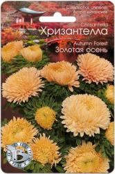 Астра Хризантелла золотая осень (Биотехника)