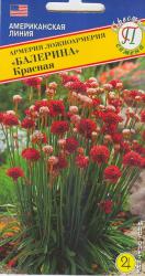 Армерия Балерина красная (Престиж)