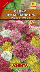 Седум Яркая палитра (Аэлита)