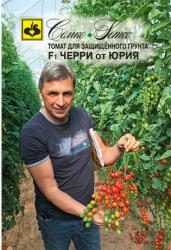 Томат Черри от Юрия F1 (Семко)