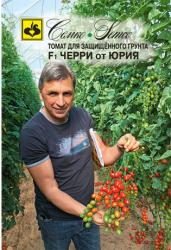 Томат Черри от Юрия F1 (Семко)