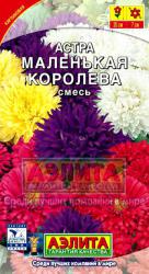 Астра Маленькая королева, смесь (Аэлита)