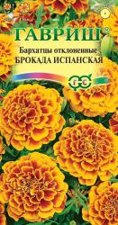 Бархатцы Брокада испанская (Гавриш)