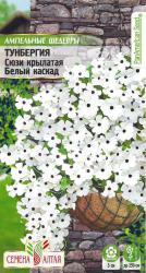 Тунбергия крылатая Сюзи белый каскад (Семена Алтая)
