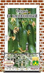Огурец Балконный F1 (Манул)