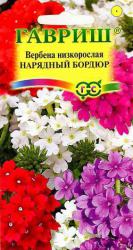 Вербена низкая Нарядный бордюр (Гавриш)