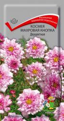 Космея махровая Кнопка двуцветная (Поиск)