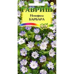 Немофила Барбара (Гавриш)