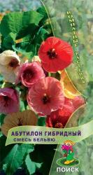 Абутилон гибридный Бельвю, смесь (Поиск)