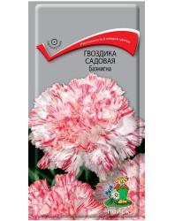 Гвоздика садовая Баэнигна (Поиск)