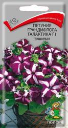 Петуния Галактика вишневая F1 (Поиск)