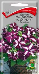 Петуния Галактика вишневая F1 (Поиск)
