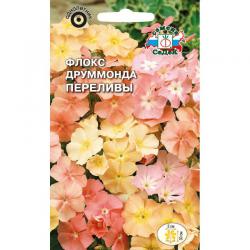 Флокс друммонда Переливы (СеДеК)