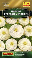 Цинния Клеопатра белая F1 (Аэлита)