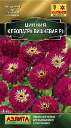 Цинния Клеопатра вишневая F1 (Аэлита)