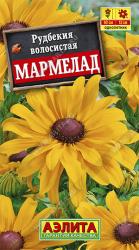 Рудбекия Мармелад (Аэлита)