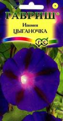 Ипомея Цыганочка (Гавриш)