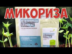 Микориза для комнатных растений Зеленое сечение 10 гр.