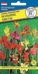 Канна индийская Большие цветы (Престиж)