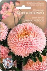 Астра Хризантелла цветок лотоса (Биотехника)