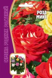 Роза кустовая Микс (Частная коллекция)