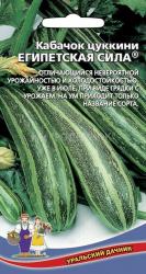 Кабачок Египетская сила (Уральский дачник)