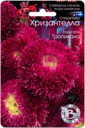 Астра Хризантелла тропикана (Биотехника)