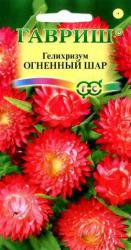 Гелихризум Огненный шар (Гавриш)