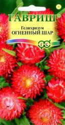 Гелихризум Огненный шар (Гавриш)