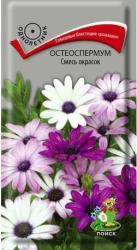Остеоспермум Смесь окрасок (Поиск)