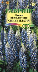 Люпин Синее пламя многолетний (Гавриш)