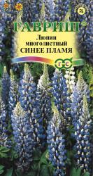 Люпин Синее пламя многолетний (Гавриш)