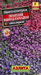 Обриета каскадная Гигантский водопад, смесь (Аэлита)