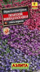 Обриета каскадная Гигантский водопад, смесь (Аэлита)