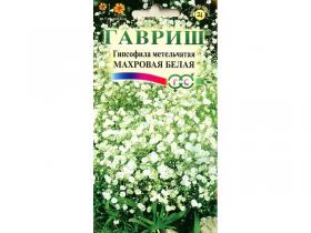 Гипсофила метельчатая Махровая белая (Гавриш)
