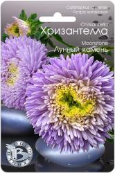 Астра Хризантелла лунный камень (Биотехника)
