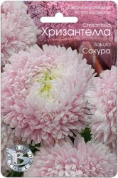 Астра Хризантелла сакура (Биотехника)