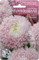 Астра Хризантелла сакура (Биотехника)