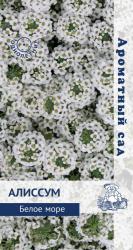 Алиссум Белое море (Поиск)