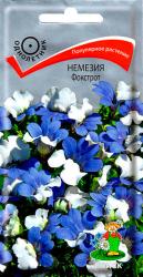 Немезия Фокстрот (Поиск)