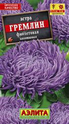 Астра Гремлин фиолетовая (Аэлита)
