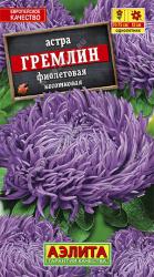 Астра Гремлин фиолетовая (Аэлита)