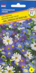 Брахикома Великолепная, смесь (Престиж)