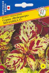 Колеус Фейерверк мозаика F1 (Престиж)