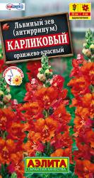 Львиный зев Карликовый оранжево-красный (Аэлита)